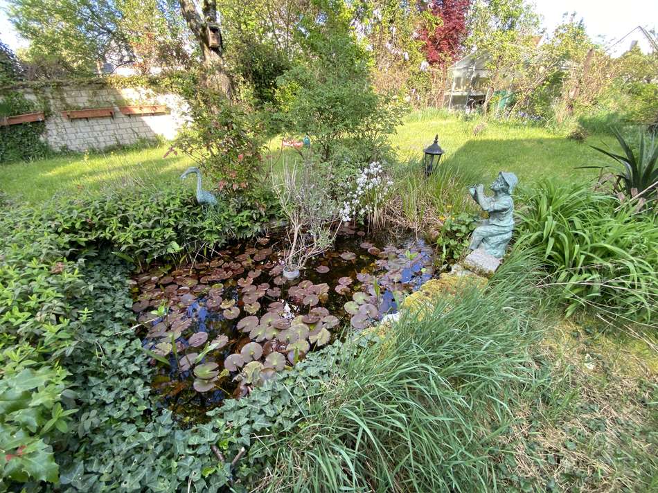 Garten-Teich
