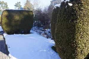 Familiengerechtes Haus mit einem sehr gepflegten Garten – Am Berge x, 15741 Dahme-Spreewald (Kreis) – Vorschaubild 62