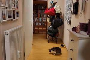 Gepflegte 3 Zi. Wohnung mit EBK und Balkon in Karlsruhe – Kirchfeldstr. 34, 76149 Neureut, Karlsruhe – Vorschaubild 14