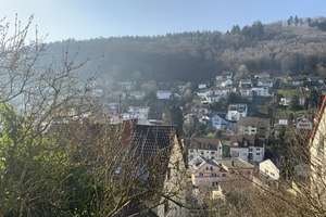 GLOBAL INVEST SINSHEIM | 2-3-Familienhaus in toller Lage von Ziegelhausen mit unverbaubarem Blick – Die vollständige Adresse der Immobilie erhältst du vom Anbieter., 69118 Ziegelhausen, Heidelberg – Vorschaubild 21