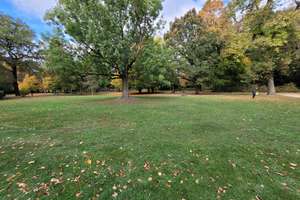 Property thumbnail 10