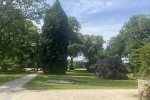 Haus mit Garten am Schloßpark – Bochum – Vorschaubild 16