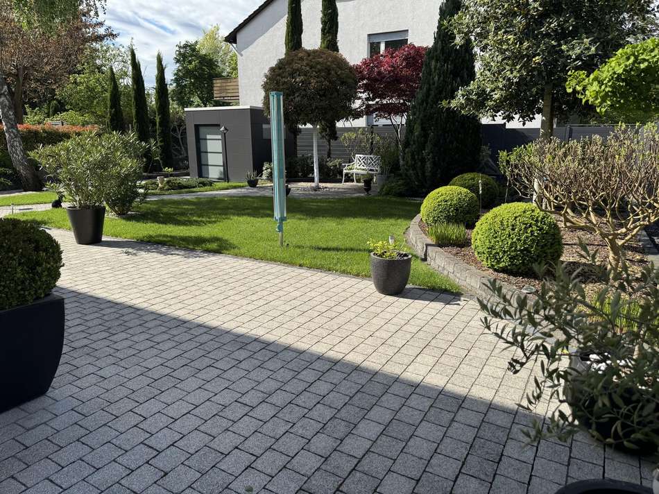 IMG 0858