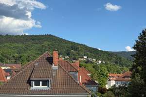 Gemütliche Wohnung in ruhiger Lage in Handschuhsheim – Die vollständige Adresse der Immobilie erhältst du vom Anbieter., 69121 Handschuhsheim, Heidelberg – Vorschaubild 10