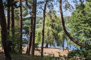  Effizienzhaus mit Wärmepumpe mit 4 Zimmern , EBK + Garage  in Wald-und Seenähe in Ferchesar – Semliner Weg 5c, 14715 Stechow-Ferchesar – Vorschaubild 20