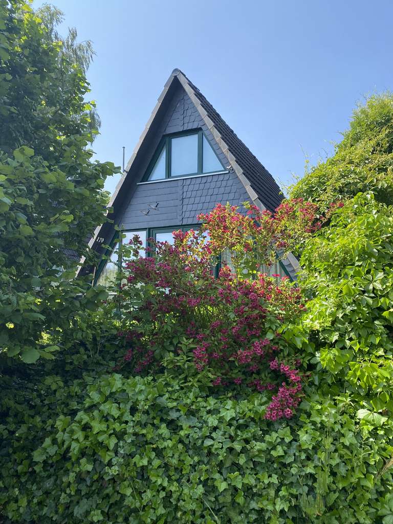 Immobilie in Bad Wünnenberg - Luxuriös wohnen im Grünen – Nurdachhaus mit 650 m² Grundstück in Fürstenberg - Bild 3