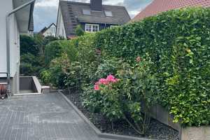 Freistehendes Einfamilienhaus mit schön eingewachsenem Garten - von Privat – Rheingau-Taunus-Kreis – Vorschaubild 27