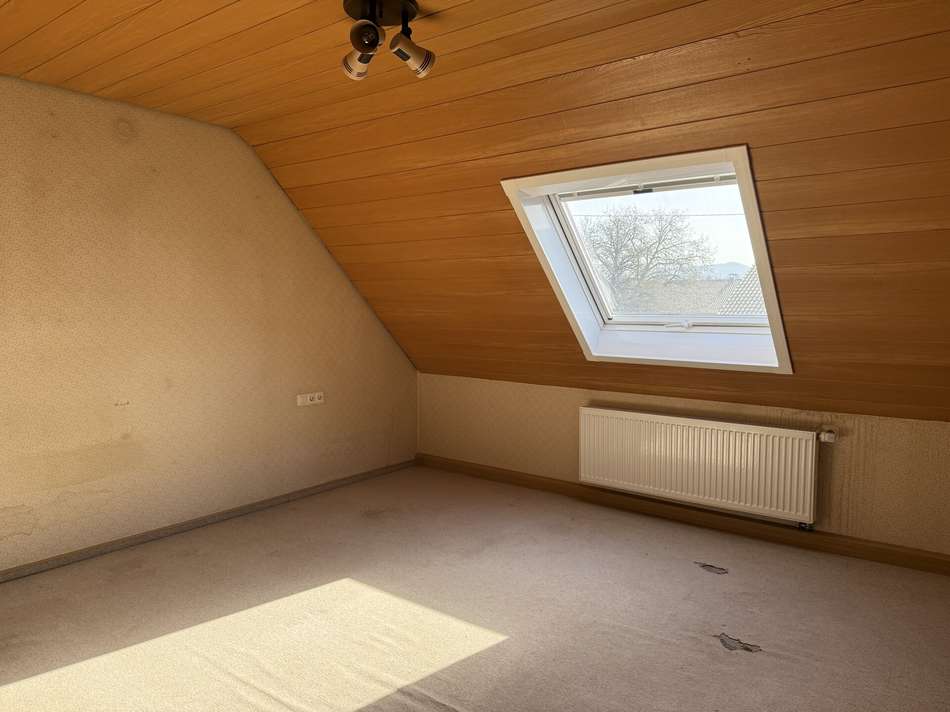 Zimmer DG