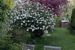 Property thumbnail 14