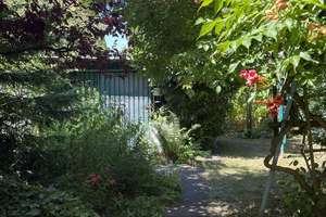 Top-Wohnlage! Bezugsfreies, charmantes Einfamilienhaus mit Sonnengarten und Innenhof! – Die vollständige Adresse der Immobilie erhältst du vom Anbieter., 53127 Ippendorf, Bonn – Vorschaubild 6