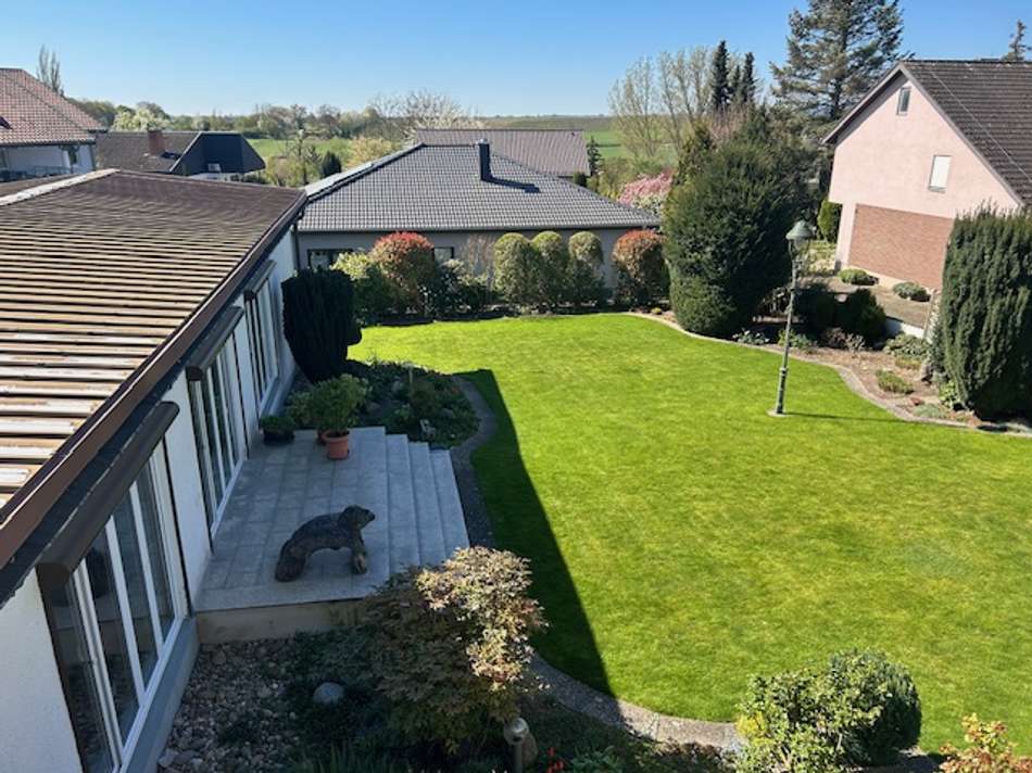 Blick in den Garten