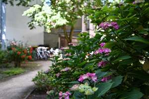 ⭐️ Fußläufig zum Viktoria-Luise-Plz - Charmante2 Zimmer Wohnung mit EBK und ruhigen Zimmern – Die vollständige Adresse der Immobilie erhältst du vom Anbieter., 10779 Schöneberg, Berlin – Vorschaubild 8