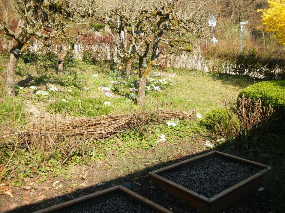 Garten Frühjahr 2