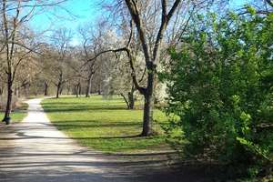 Property thumbnail 18