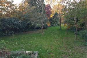 Freistehendes Einfamilienhaus mit großem Garten und ruhiger Feldrandlage – Kampstraße 22, 31547 Rehburg-Loccum – Vorschaubild 16