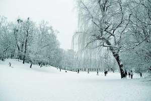 Property thumbnail 23