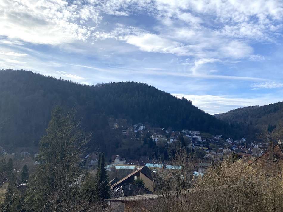 Ausblick