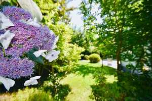 "VILLA AMMERSEE":  SEENAHE VILLA MIT VOLLAUSSTATTUNG UND IDYLLISCHEM GARTEN IN RUHIGER BESTLAGE – Starnberg (Kreis) – Vorschaubild 10