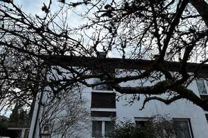 Doppelhaushälfte Vaterstetten mit großem Garten – Anton-Bruckner-Str. 44, 85591 Vaterstetten – Vorschaubild 6