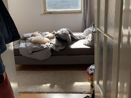 Wohnung Mieten In Rodental Immobilienscout24