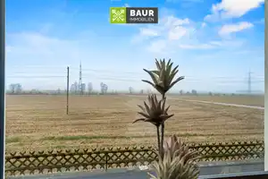 Wohlfühlen in Niederrieden – Saniertes & vermietetes Zweifamilienhaus – Unterallgäu (Kreis) – Vorschaubild 16