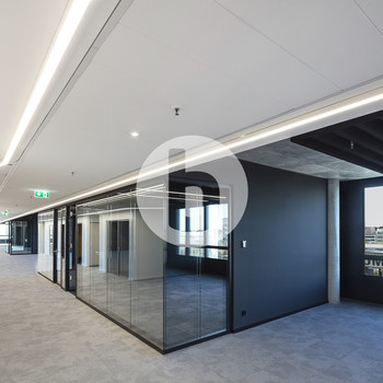 Moderner Büroneubau mit flexiblen Nutzungseinheiten zur Miete