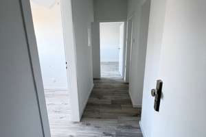 *Tolles single-Domizil* Top Ausstattung*Neues Bad*Trendlage-Gneisenaustraße* – Gneisenaustraße 3, 40477 Pempelfort, Düsseldorf – Vorschaubild 7