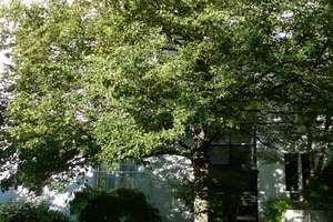 Bezugsfreie Terrassenwohnung mit Garten in Degerloch (Hoffeld) – Die vollständige Adresse der Immobilie erhältst du vom Anbieter., 70597 Hoffeld, Stuttgart – Vorschaubild 9