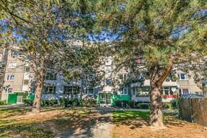 Attraktive 3-Zimmer-Etagenwohnung in Braunschweig mit vielseitigem Ambiente