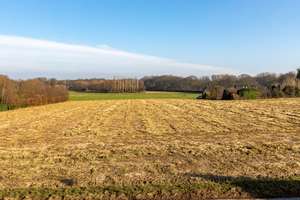 Naturnahes Leben mit der Großfamilie im "Kempener-Feld" von Krefeld Hüls – Die vollständige Adresse der Immobilie erhältst du vom Anbieter., 47839 Hüls, Krefeld – Vorschaubild 16