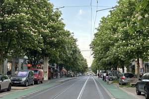 Property thumbnail 16