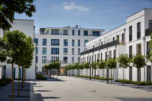 Vermiete 3 Zimmer Wohnung Lessingpark Wolfsburg 