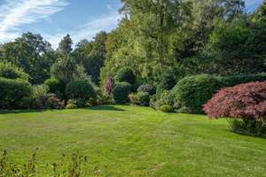 Property thumbnail 13