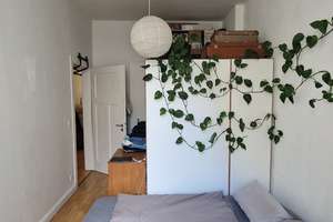 Gemütliche 2-Zimmer Wohnung in Wiesbaden – Bismarckring 38, 65183 Westend / Bleichstraße, Wiesbaden – Vorschaubild 14