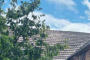*** Provisionsfrei *** Leben Sie Ihren Traum - Vierseithof (Bauernhof) mit Entwicklungspotential! – Die vollständige Adresse der Immobilie erhältst du vom Anbieter., 3249 Sonnewalde – Vorschaubild 1