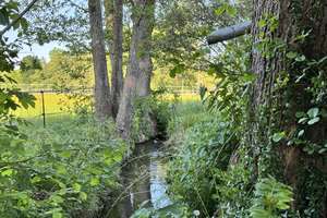 Natur und Ruhe pur – Idyllisches Anwesen mit Fischteich, Bachlauf und großem Gartenparadies – Die vollständige Adresse der Immobilie erhältst du vom Anbieter., 84533 Haiming – Vorschaubild 4