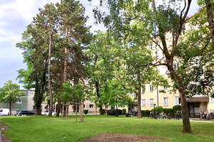 3-Z.Wohnung möbliert mit Balkon, Sendling – 81371 Sendlinger Feld, München – Vorschaubild 17