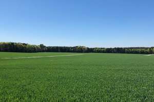 Refugium mit Gutshof-Charme: Repräsentatives Wohnerlebnis auf höchstem Niveau in Oberpframmern – Die vollständige Adresse der Immobilie erhältst du vom Anbieter., 85667 Oberpframmern – Vorschaubild 20