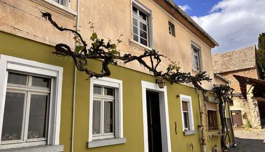 Bild von Viel Platz für große Träume