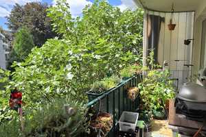 Property thumbnail 9