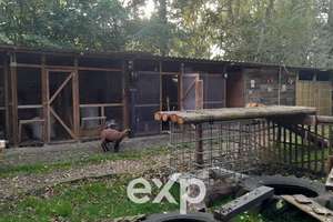 Wohnen mit Stil und Seele – einzigartiges Landhaus in Ostfriesland – liebevoll modernisiert - – Die vollständige Adresse der Immobilie erhältst du vom Anbieter., 26826 Weener – Vorschaubild 32