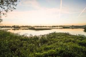 Exklusives Wohnen und Naturerlebnis am Rande der Rieselfelder Münster