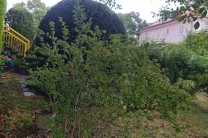 TRAUMHAFTE LAGE- DOPPELHAUSHÄLFTE  MIT TOLLER AUSSICHT – Schellingstr 76c, 75175 Pforzheim – Vorschaubild 21