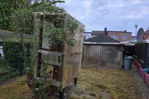 gepflegtes Reihenmittelhaus in Hückelhoven-Hilfarth zu Vermieten! – Marienstraße 9, 41836 Hückelhoven – Vorschaubild 11
