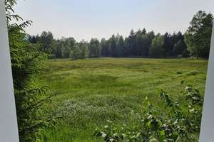 Schwarzwaldhaus im Naturschutzgebiet - Sonnenlage – Oberhöllensteig 6, 79874 Breitnau – Vorschaubild 17