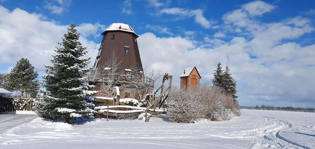Immobilie in Spantekow - Galerieholländer-Mühle in Vorpommern - Liebhaberobjekt - Bild 1