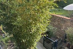 Sunshine Living in Bonn - Lengsdorf: Terrassenwohnung mit äußerer Größe. – Die vollständige Adresse der Immobilie erhältst du vom Anbieter., 53127 Lengsdorf, Bonn – Vorschaubild 18
