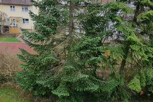 Property thumbnail 25