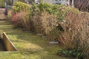 Property thumbnail 13