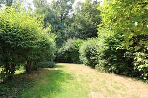 Naturnahes und familienfreundliches Reihenmittelhaus direkt am Wald – Die vollständige Adresse der Immobilie erhältst du vom Anbieter., 74172 Neckarsulm – Vorschaubild 4